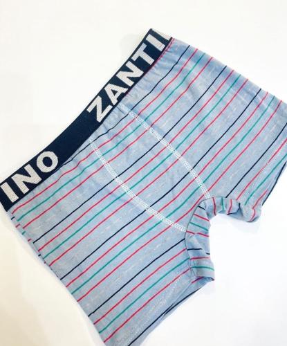 (art:bxh1) Boxer Zantino Rayado - Miniatura 3