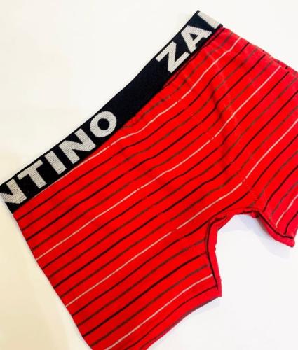 (art:bxh1) Boxer Zantino Rayado - Miniatura 4