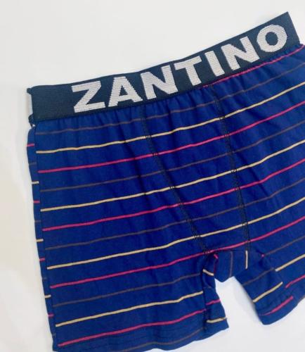 (art:bxh1) Boxer Zantino Rayado - Miniatura 5