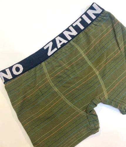 (art:bxh1) Boxer Zantino Rayado - Miniatura 6