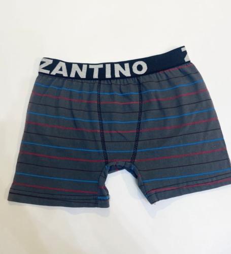 (art:bxh1) Boxer Zantino Rayado - Miniatura 7