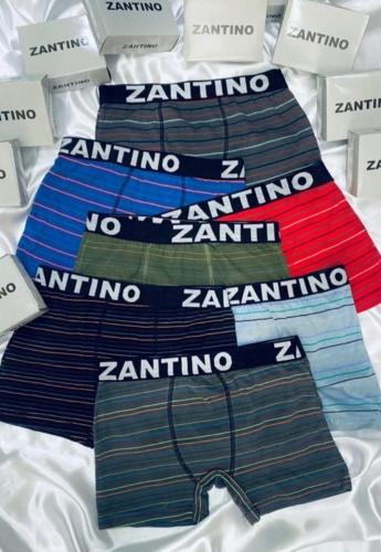 (art:bxh1) Boxer Zantino Rayado