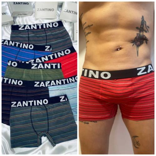 (art:bxh1) Boxer Zantino Rayado
