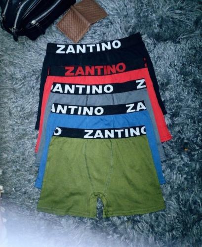 (art:bxh2) Boxer Zantino Liso