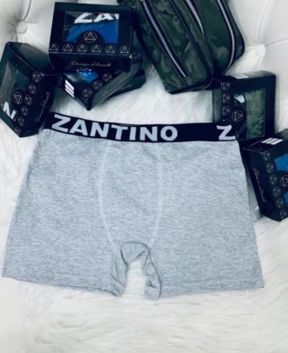 (art:bxh2) Boxer Zantino Liso - Miniatura 2