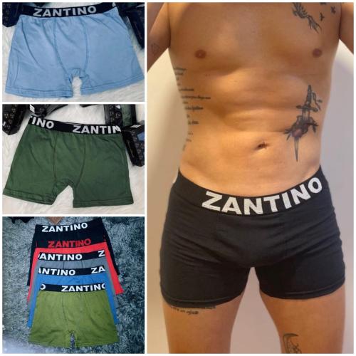 (art:bxh2) Boxer Zantino Liso - Miniatura 3