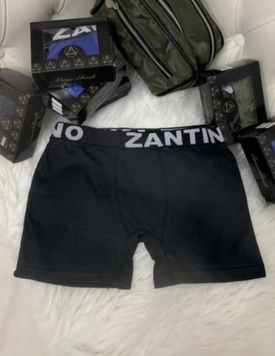 (art:bxh2) Boxer Zantino Liso - Miniatura 4