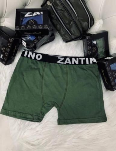 (art:bxh2) Boxer Zantino Liso - Miniatura 5