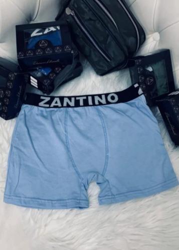 (art:bxh2) Boxer Zantino Liso - Miniatura 6