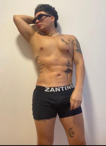 (art:bxh2) Boxer Zantino Liso - Miniatura 8