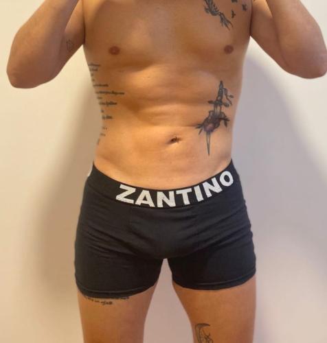 (art:bxh2) Boxer Zantino Liso