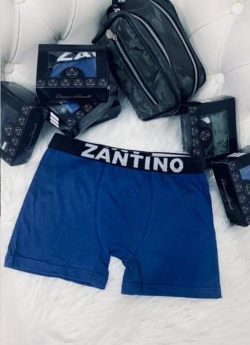 (art:bxh2) Boxer Zantino Liso