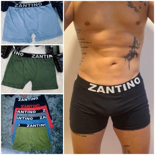 (art:bxh2) Boxer Zantino Liso