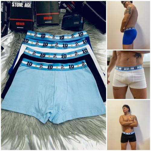 (art:bxh3) Boxer Liso Stone Age Argentina
