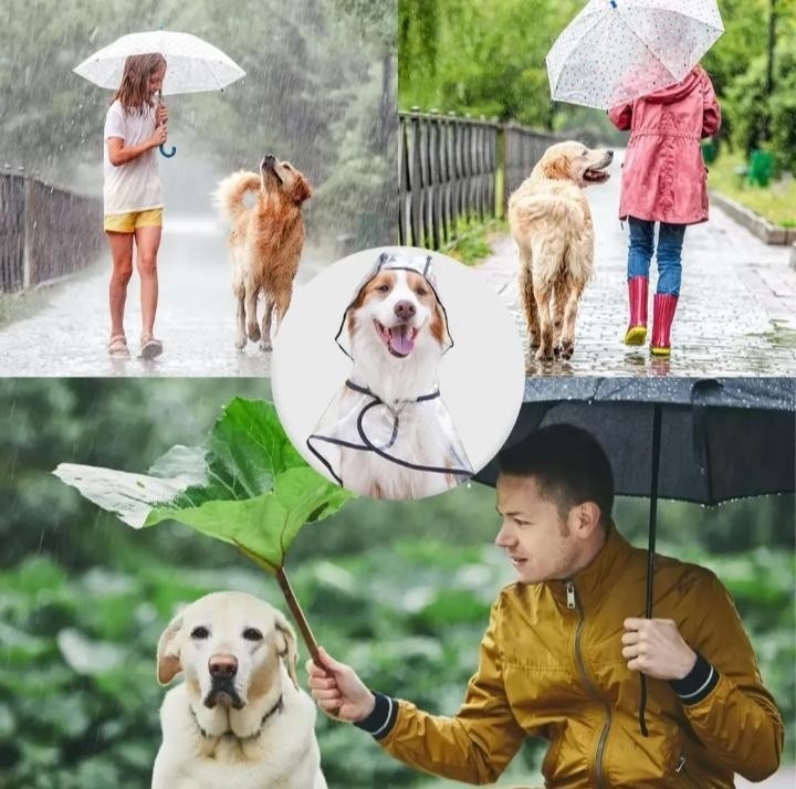Capitas de Lluvia 2 Patas Perros Grandes - Imagen 1