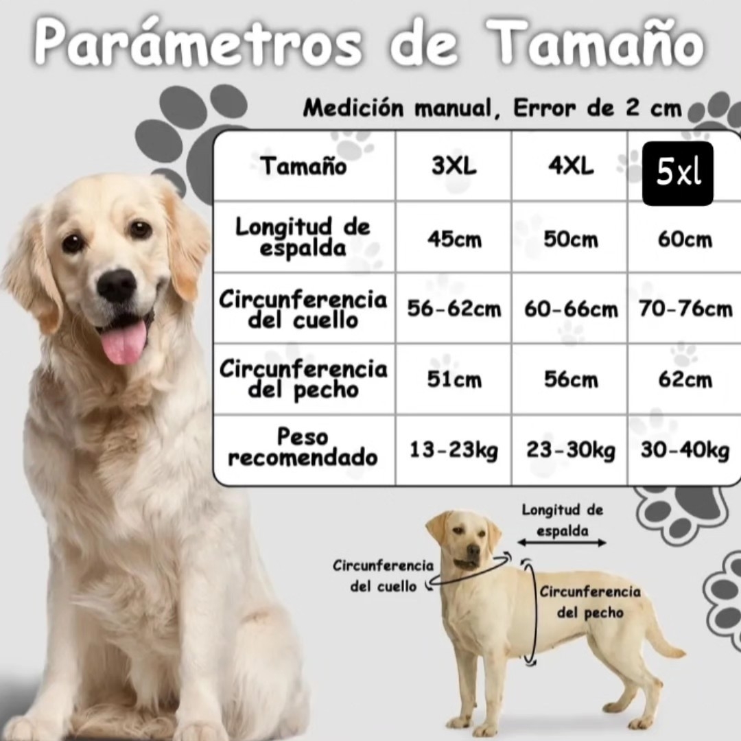 Capitas de Lluvia 2 Patas Perros Grandes - Imagen 2