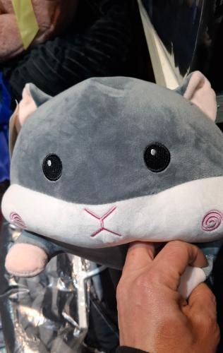 Peluche con Manta