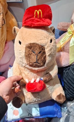 Peluche con Manta - Miniatura 2