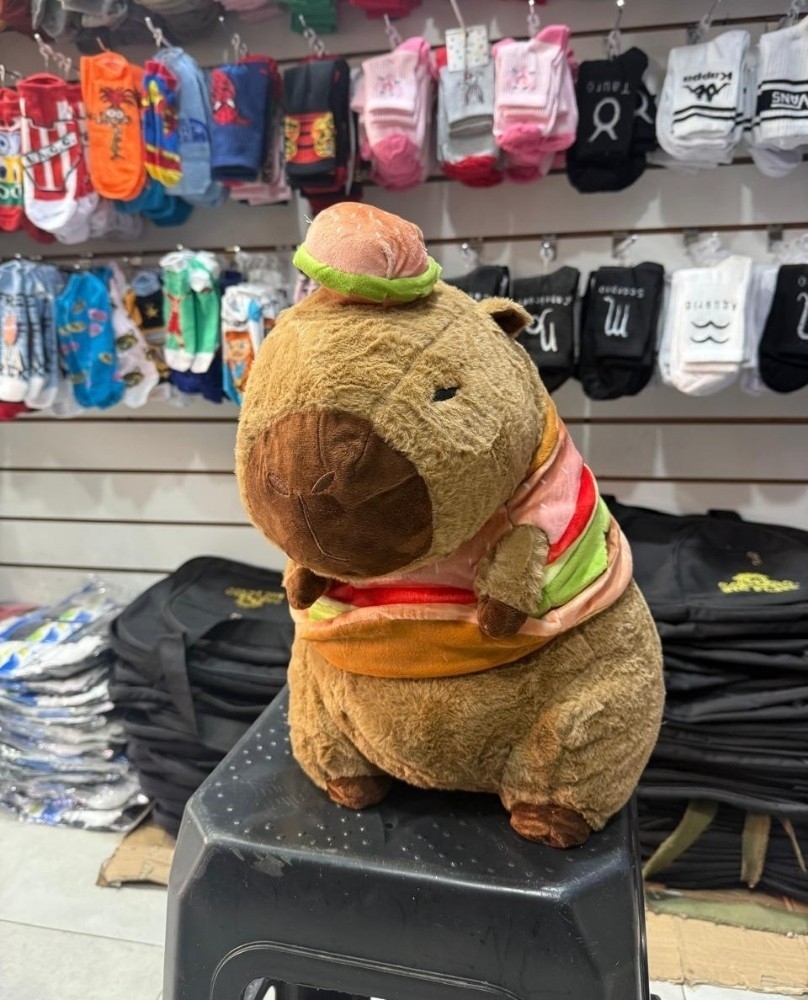 Capibara con Manta - Imagen 3