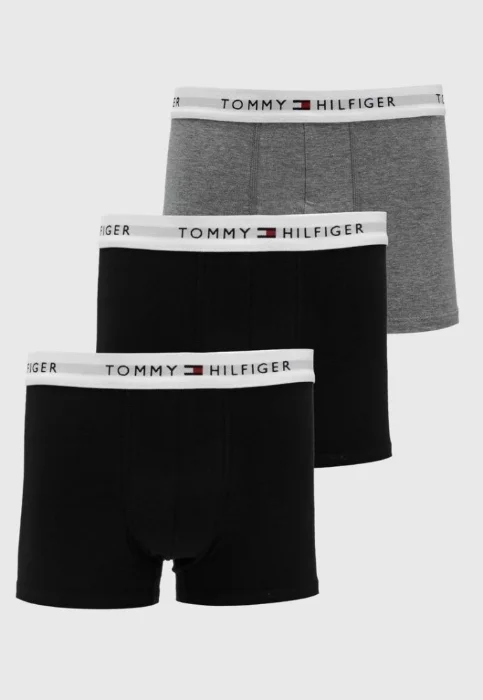 Boxer Tommy