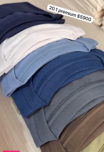 Remeras Lisas Premium 20.1