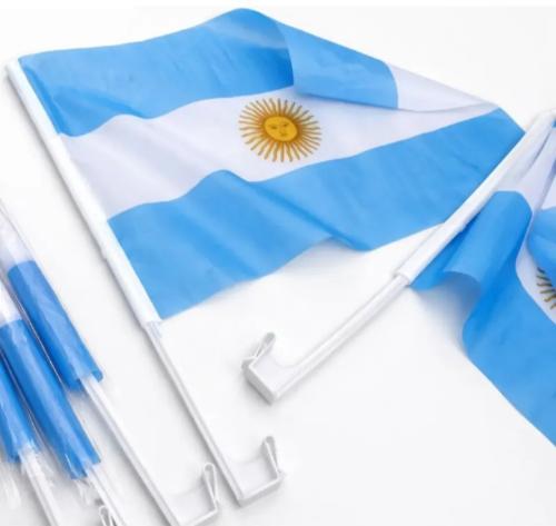 Argentina Bandera para Autos - Miniatura 2