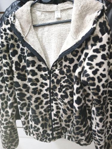 Campera