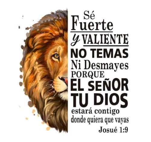Remeras Cristianas Calidad Premium - Miniatura 4