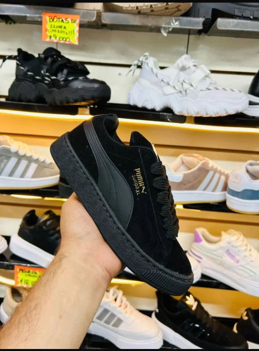  Premium