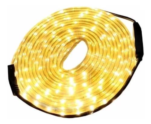 Manguera Led 5mts Luz Cálida