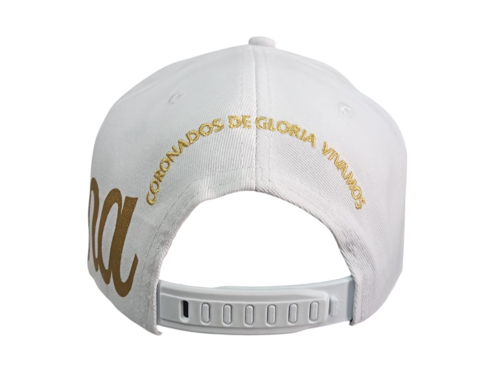 Gorras Afa Argentina Premiu Mundial.
surtido a Libre Elección en Más de 700 Artículos - Imagen 5