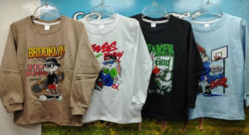 Remera de Algodón Jersey Peinado
