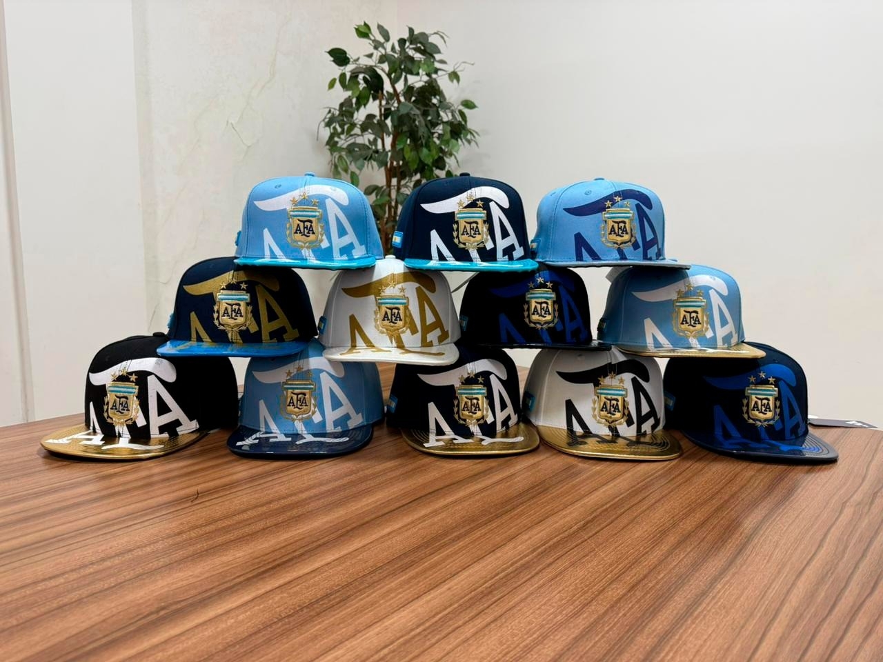 Gorras Afa Argentina Curvas y Planas Premium Mundial Libre Elección en Más de 700arti - Imagen 6
