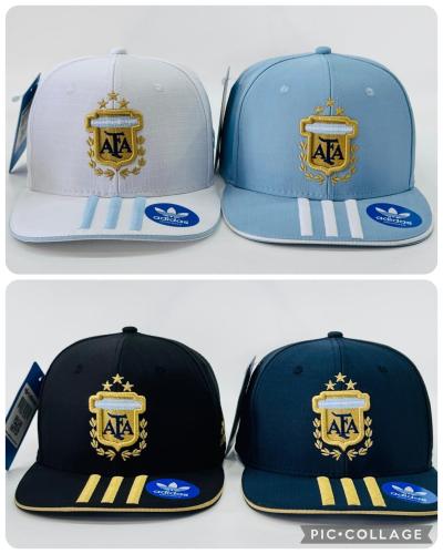 Gorras Argentina Afa Premium Mundial Curvas y Planas. 700 Artículos a Elección