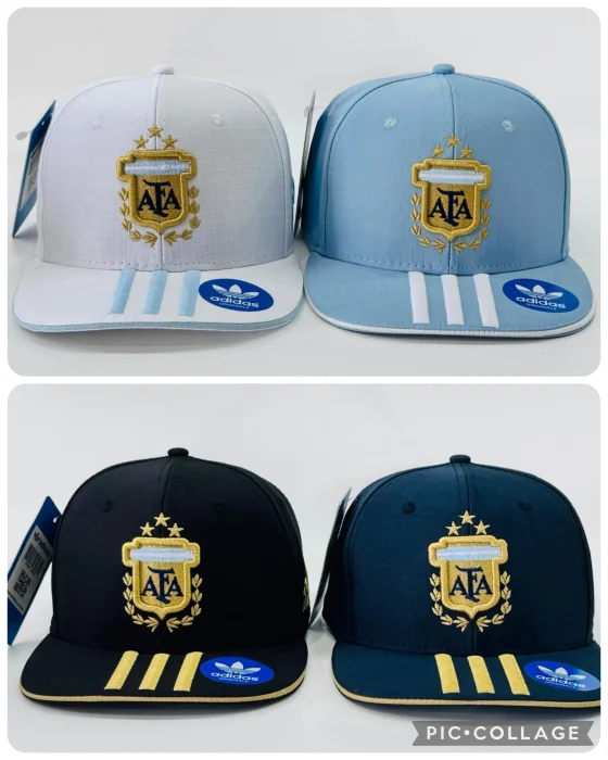 Gorras Argentina Afa Premium Mundial Curvas y Planas. 700 Artículos a Elección