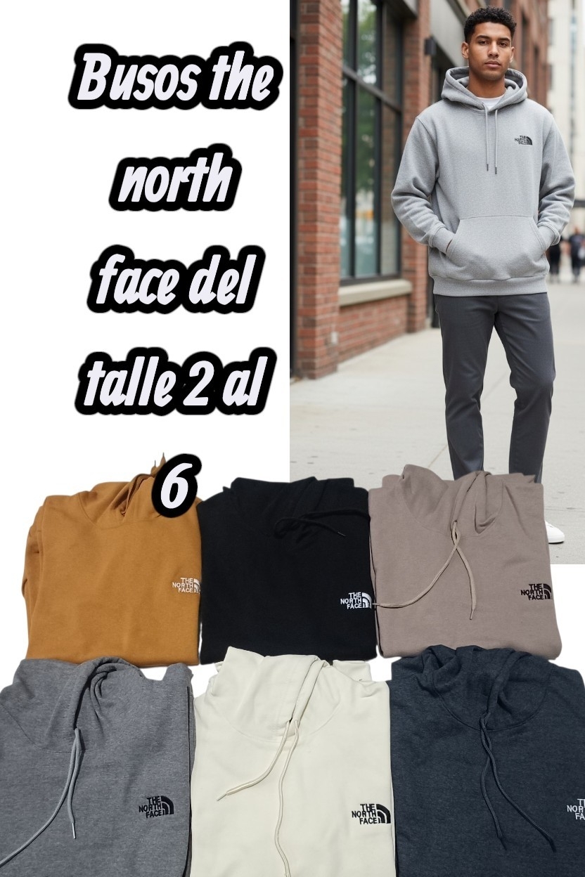 Buzo Tnf Frizado de Hombre Bordado - Imagen 1