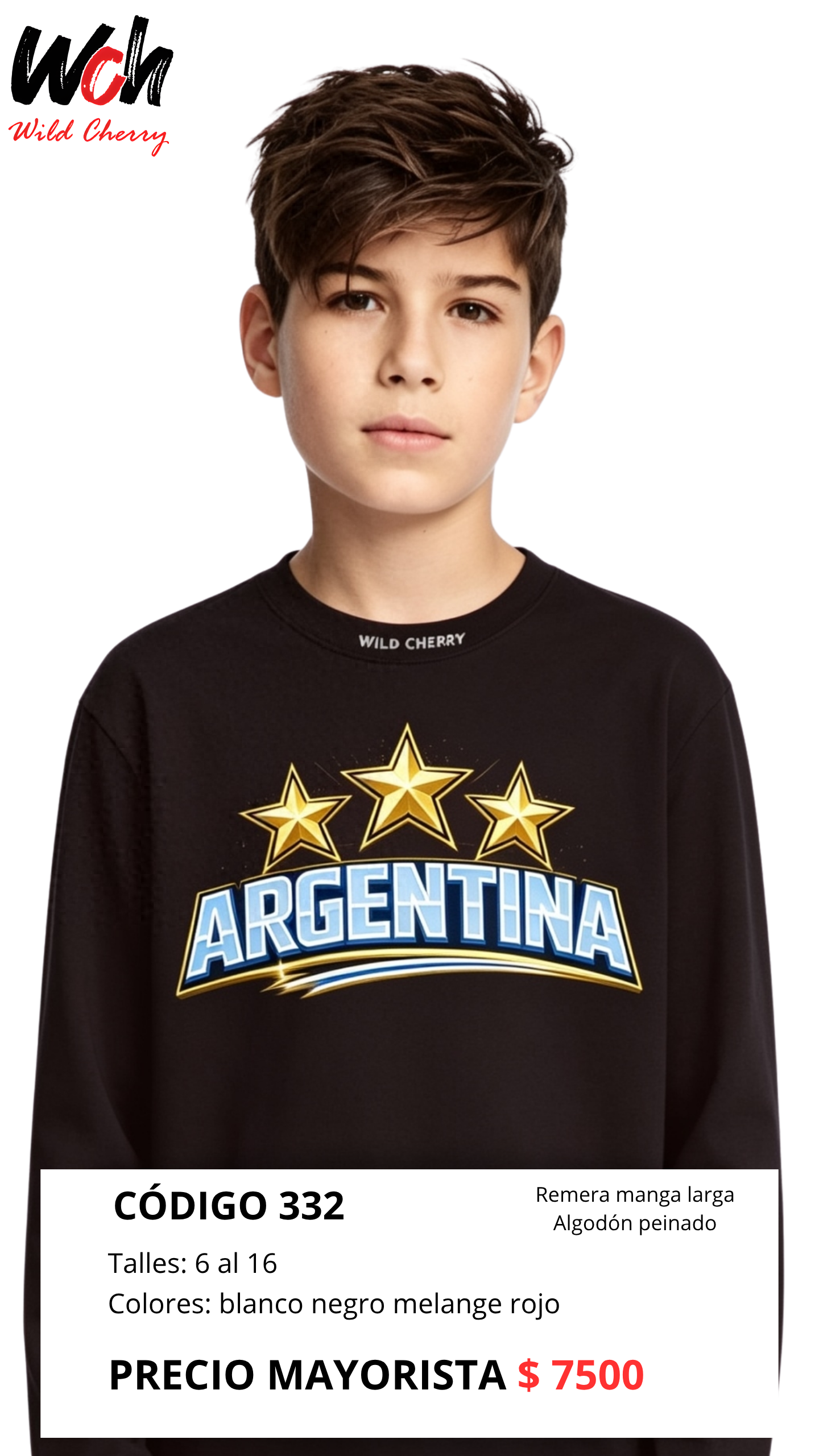 Codigo 332-remera Unisex Manga Larga-algodon Peinado-talles 6 al 16 - 332.png