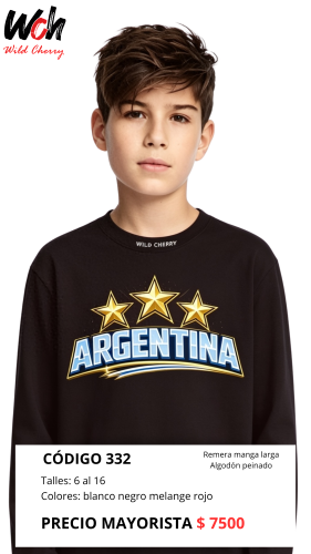 Codigo 332-remera Unisex Manga Larga-algodon Peinado-talles 6 al 16 - Miniatura 2