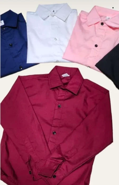 Camisas Lisas de Vestir