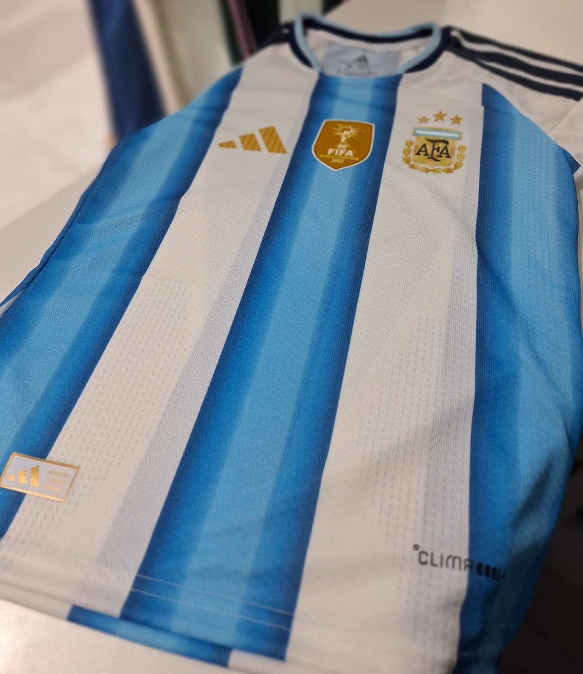 Camiseta Dama Argentina Lisa - Imagen 5