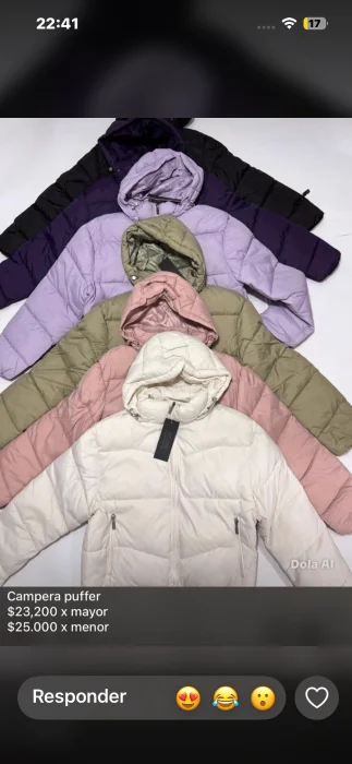 Campera Puffer