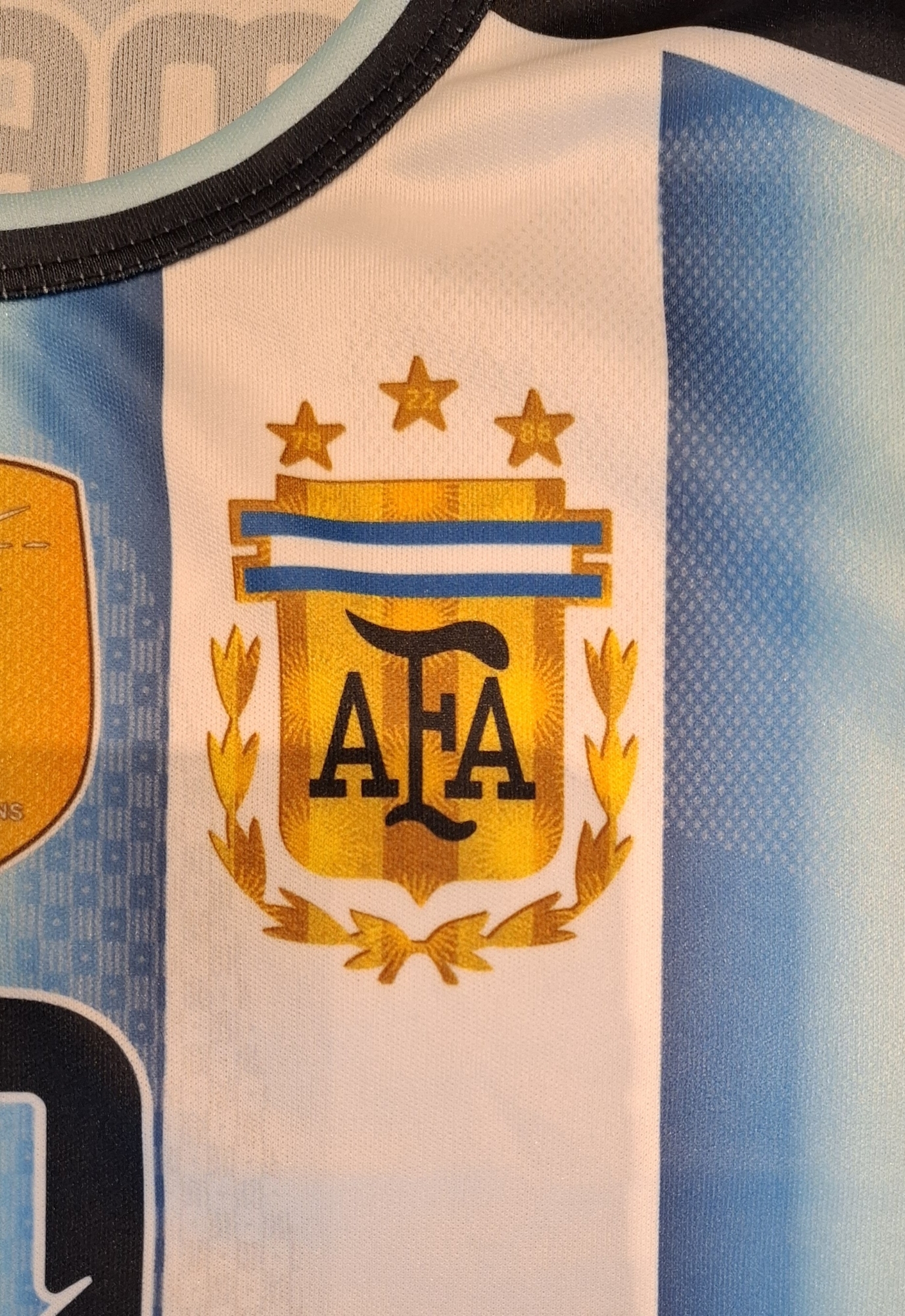 Camiseta Argentina de Niño Sublimado del 4 al 16. - Imagen 2