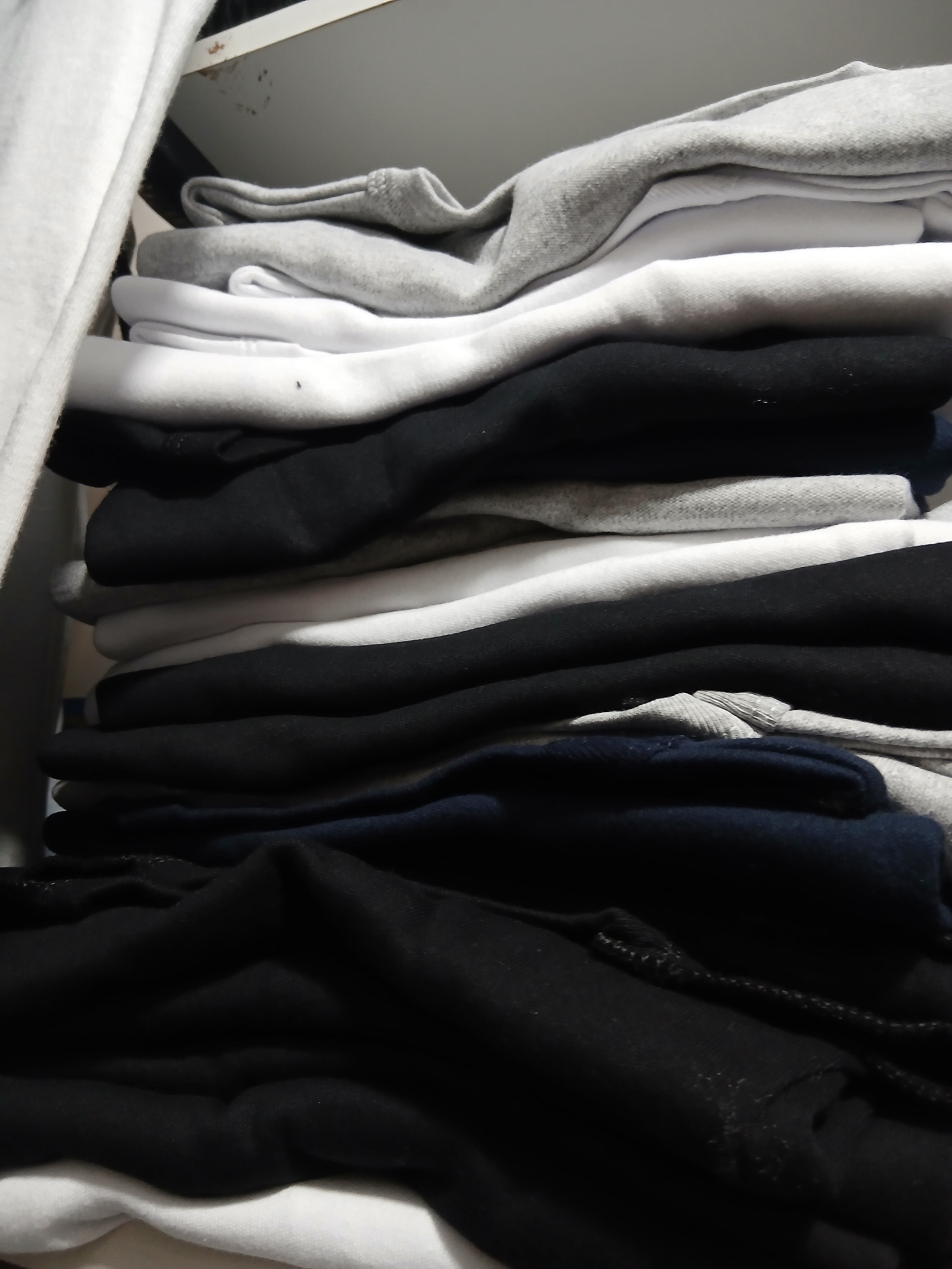 Camisetas Algodon Interlok Adulto - Imagen 2