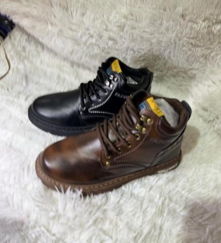 Borcegos Cuerina H