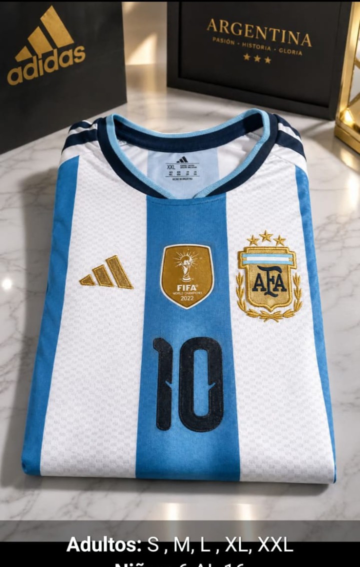 Camiseta Argentina - Imagen 1