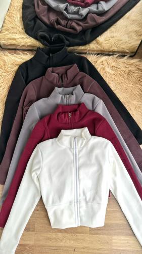 Camperita Micropolar