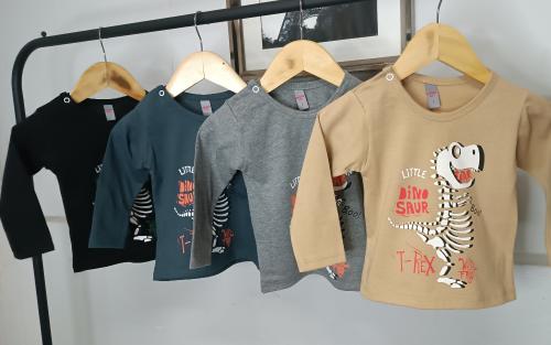 Camiseta T Rex (algodon Peinado )