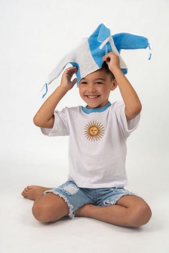 Remera de Jersey Overcrop
