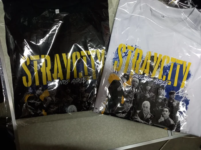 Buzo y Remeras Stray City