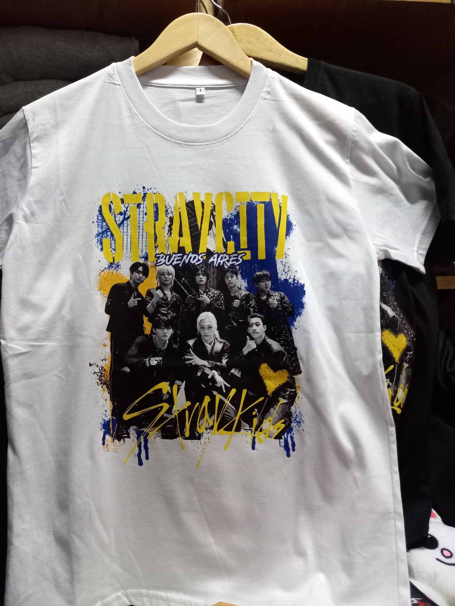 Buzo y Remeras Stray City - Imagen 3